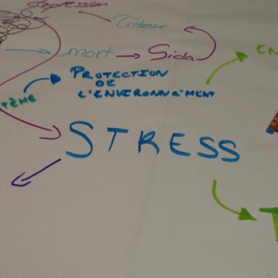 Mind Mapping Mots/Graphisme en Atelier Ado